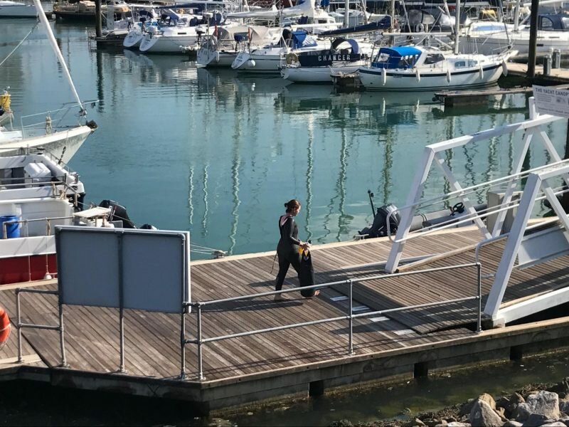 Swimming the Solent